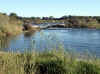 Namibia_Kavango_PopaFalls_13.JPG (111362 bytes)