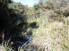Namibia_Kavango_PopaFalls_16.JPG (144507 bytes)