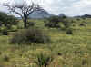 Namibia_Khomas_Oamites_4.JPG (324484 bytes)