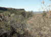 Namibia_Otjozondjupa.Waterberg.Mountain_3.jpg (117803 bytes)