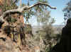 Namibia_Otjozondjupa.Waterberg.Mountain_9.jpg (126739 bytes)