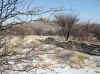 Namibia_Otjozondjupa_GrossBarmen_3.jpg (201929 bytes)