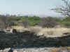 Namibia_Otjozondjupa_GrossBarmen_4.jpg (132070 bytes)