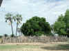 Namibia.Owambo.Ohangwena.Ongenga_2.jpg (95432 bytes)
