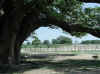 Namibia.Owambo.Omusati.Anamulenge_4.jpg (99345 bytes)