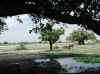 Namibia.Owambo.Omusati.Anamulenge_6.jpg (94786 bytes)