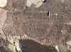 Namibia_Erongo_Koedoeberg_Rock-Engraving_1.jpg (146377 bytes)
