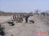 Namibia_Owambo_Oshana_Road3636_LabourBased_3.jpg (63823 bytes)